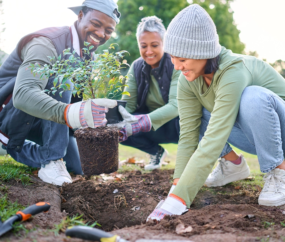 a group of volunteers planting a garden